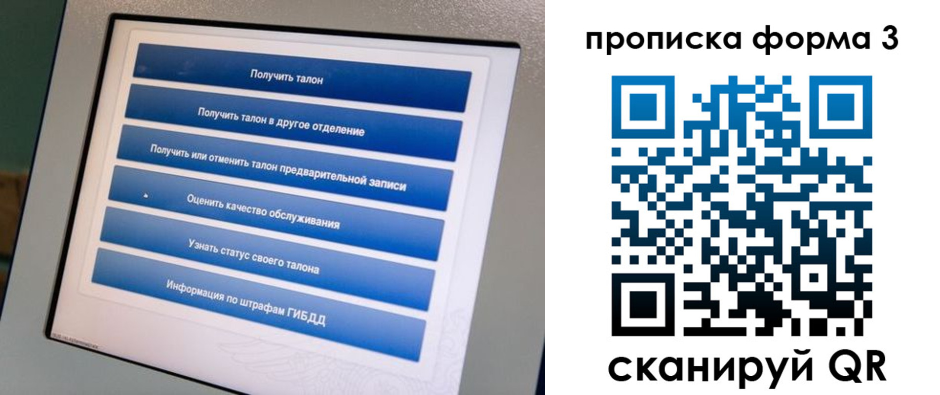 прописка в квартире в Суздали